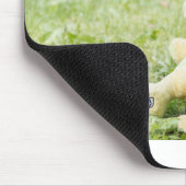 Tapis De Souris chiot 2 mini schnauzer (Coin)