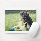 Tapis De Souris chiot 2 mini schnauzer (Avec souris)