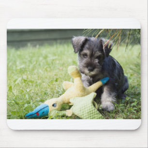 Tapis De Souris chiot 2 mini schnauzer