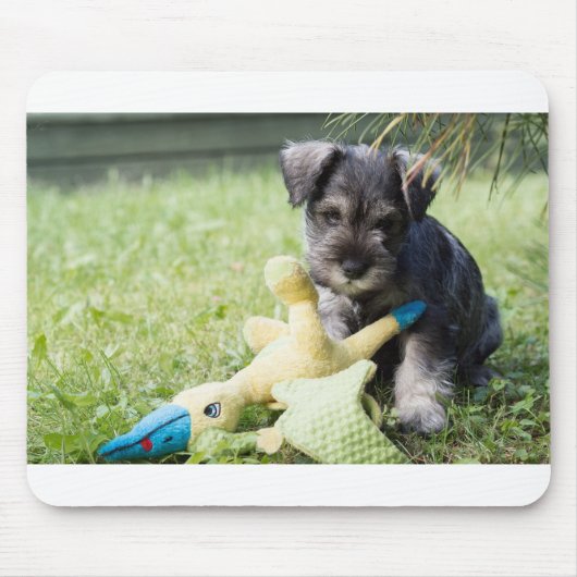 Tapis De Souris chiot 2 mini schnauzer (Devant)