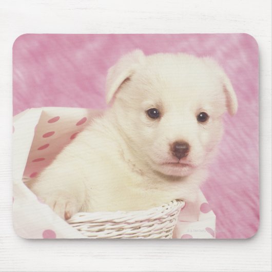 Tapis De Souris Chiot 5 (Devant)