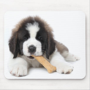 Tapis De Souris Chiot adorable de St Bernard mâchant sur un os de