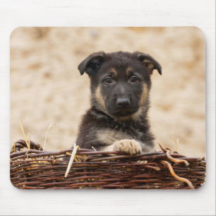 Tapis De Souris Chiot Allemand En Panier