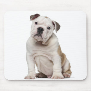 Tapis De Souris Chiot anglais de bouledogue (2 mois)