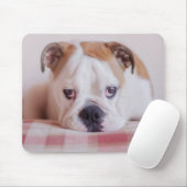 Tapis De Souris Chiot anglais timide de bouledogue (Avec souris)