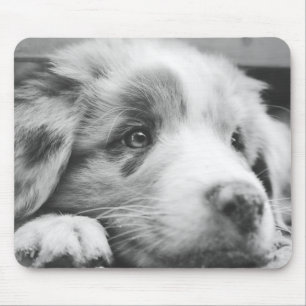 Tapis De Souris chiot australien