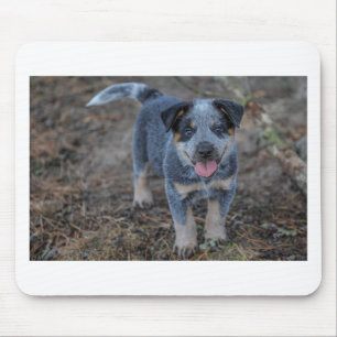 Tapis De Souris Chiot australien de bétail