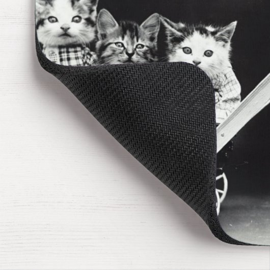 Tapis De Souris Chiot avec trois chatons dans un chariot (Coin)