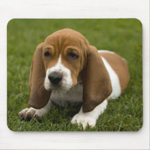 Tapis de souris chiot Basset Hound