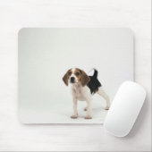 Tapis De Souris chiot beagle (Avec souris)