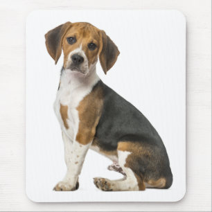 Tapis De Souris Chiot Beagle - Beagles, Canin