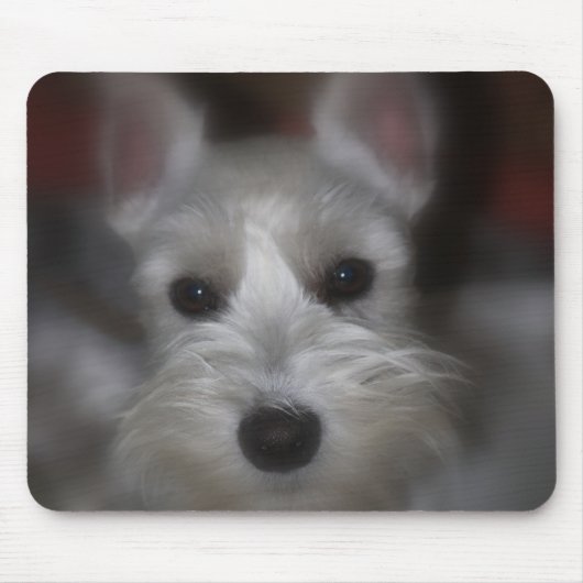Tapis De Souris Chiot blanc Schnauzer à visage doux (Devant)
