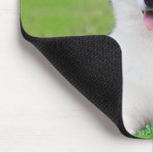 Tapis De Souris Chiot blanc sibérien Husky sur terrain vert d'herb (Coin)