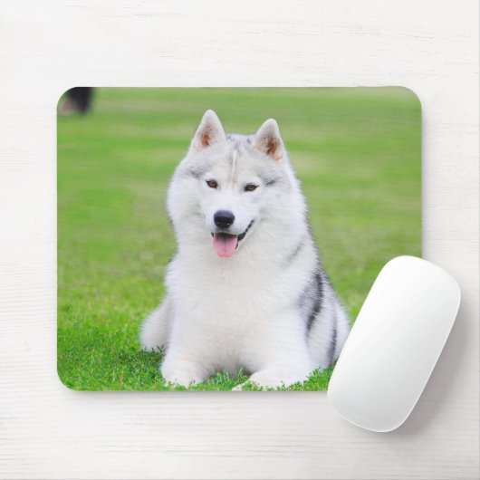 Tapis De Souris Chiot blanc sibérien Husky sur terrain vert d'herb (Avec souris)