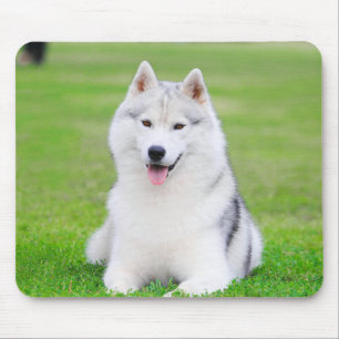Tapis De Souris Chiot blanc sibérien Husky sur terrain vert d'herb