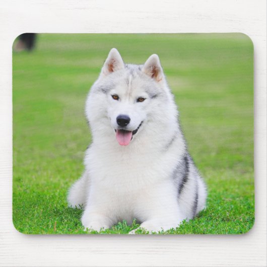 Tapis De Souris Chiot blanc sibérien Husky sur terrain vert d'herb (Devant)