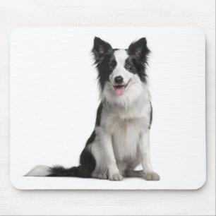 Tapis de souris chiot Border Collie