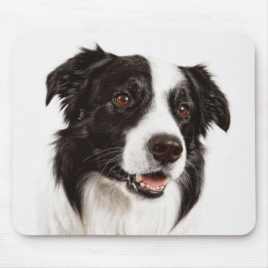 Tapis de souris chiot Border Collie (Devant)