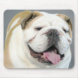 Tapis de souris chiot bouledogue anglais Canin