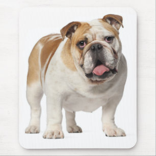 Tapis de souris chiot Bouledogue Anglais Canine