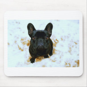 Tapis De Souris Chiot Bouledogue Français Adorable !