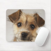 Tapis De Souris Chiot (Canis familiaris) (Avec souris)