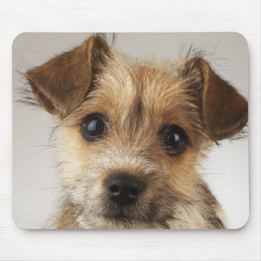 Tapis De Souris Chiot (Canis familiaris) (Devant)