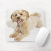 Tapis De Souris Chiot (Canis familiaris) 2 (Avec souris)