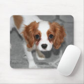 Tapis de souris chiot Cavalier King Charles Spanie (Avec souris)