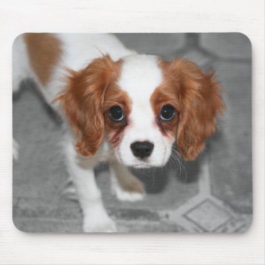 Tapis de souris chiot Cavalier King Charles Spanie (Devant)