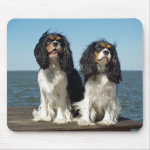 Tapis de souris chiot Cavalier King Charles Spanie