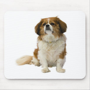 Tapis de souris chiot Cavalier King Charles Spanie