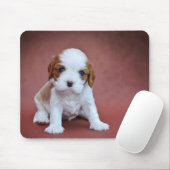 Tapis De Souris Chiot Cavalier King Charles Spaniel (Avec souris)