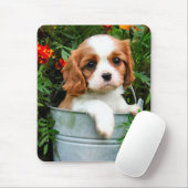 Tapis De Souris Chiot cavalier Mousepad (Avec souris)