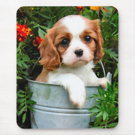 Tapis De Souris Chiot cavalier Mousepad (Devant)
