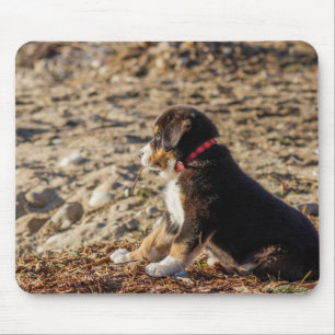 Tapis De Souris chiot, chien de montagne bernais, plage