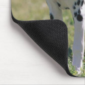 Tapis de souris chiot dalmate (Coin)