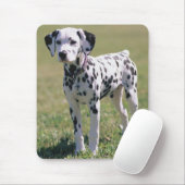 Tapis de souris chiot dalmate (Avec souris)