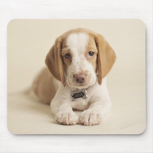 Tapis De Souris Chiot de beagle (Devant)