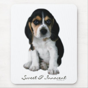 Tapis De Souris Chiot de beagle