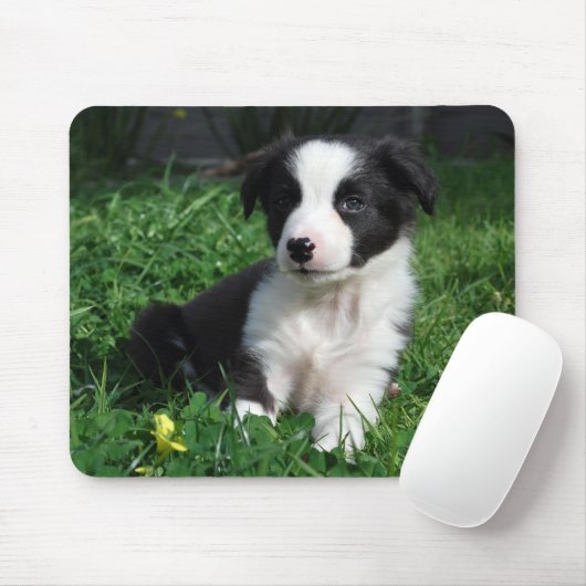 Tapis De Souris Chiot de border collie (Avec souris)