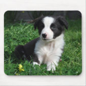 Tapis De Souris Chiot de border collie (Devant)