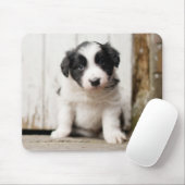 Tapis De Souris Chiot de border collie (Avec souris)