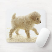 Tapis De Souris Chiot de caniche (Avec souris)