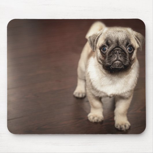 Tapis De Souris Chiot de carlin (Devant)