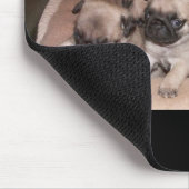 Tapis De Souris chiot de carlin (Coin)