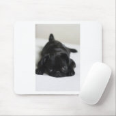 Tapis De Souris Chiot de Carlin noir (Avec souris)
