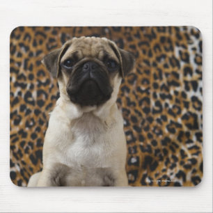 Tapis De Souris Chiot de carlin se reposant contre le poster de