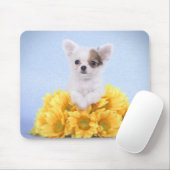 Tapis De Souris Chiot de chiwawa (Avec souris)