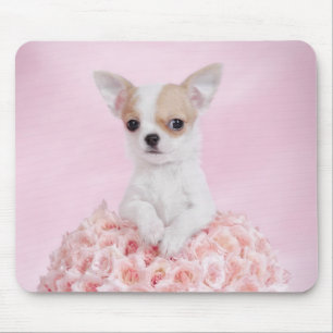Tapis De Souris Chiot de chiwawa